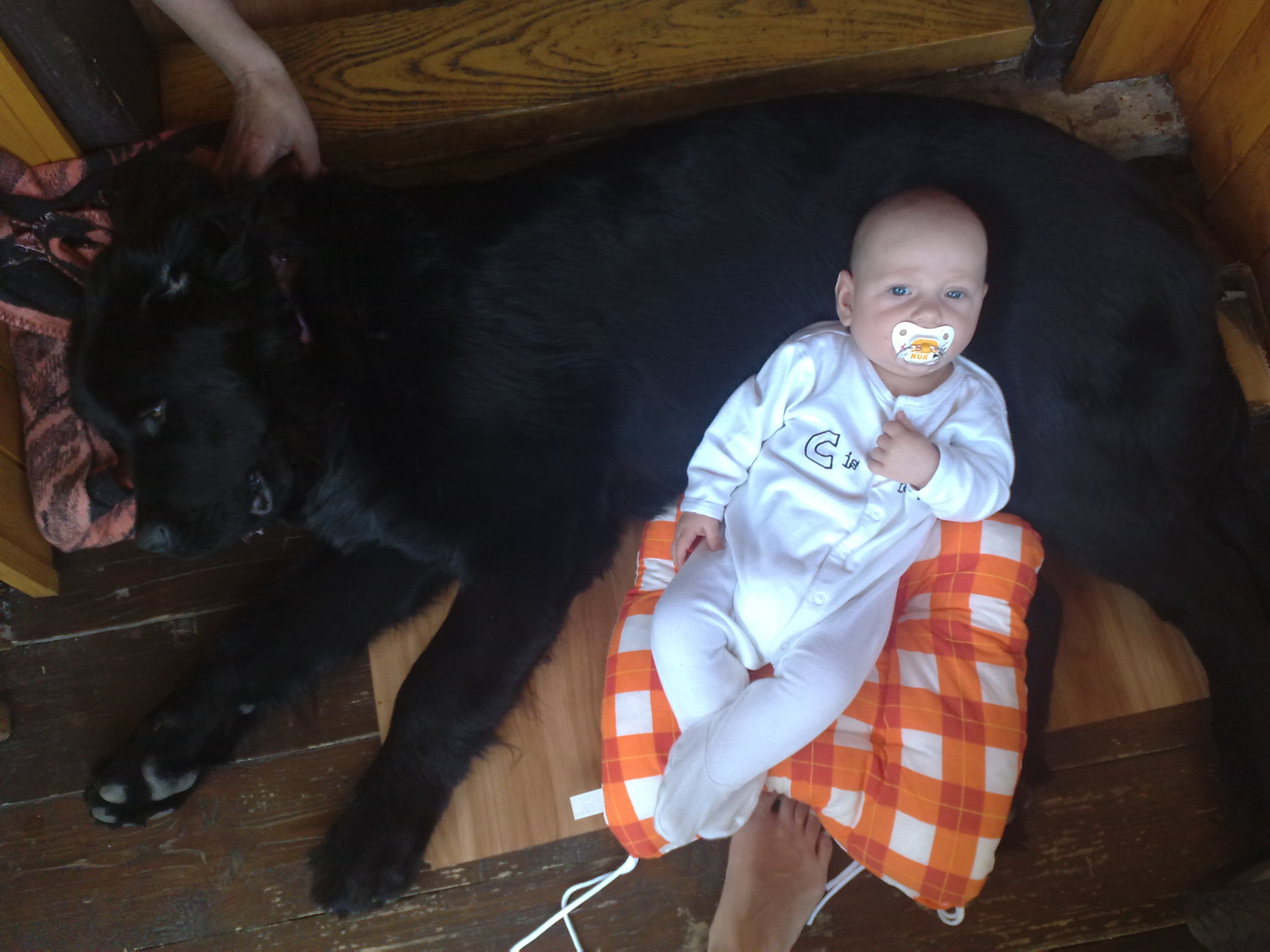 Jsem Eričkův polštářek