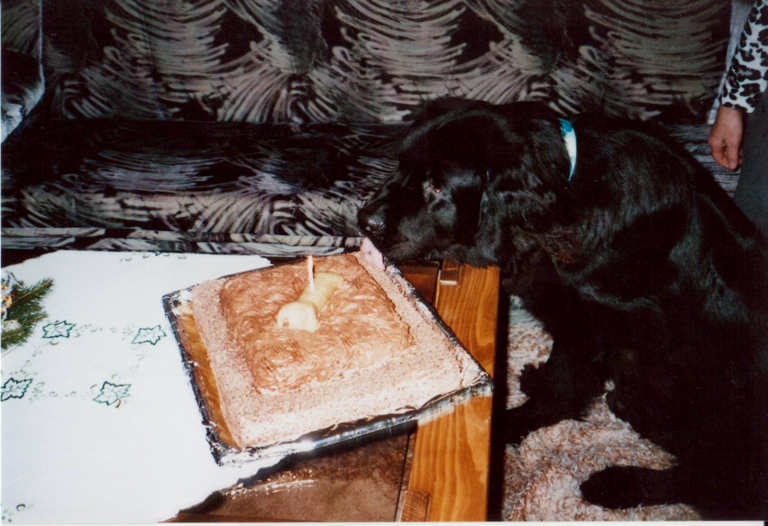 11.12.2010 Moje první narozeniny