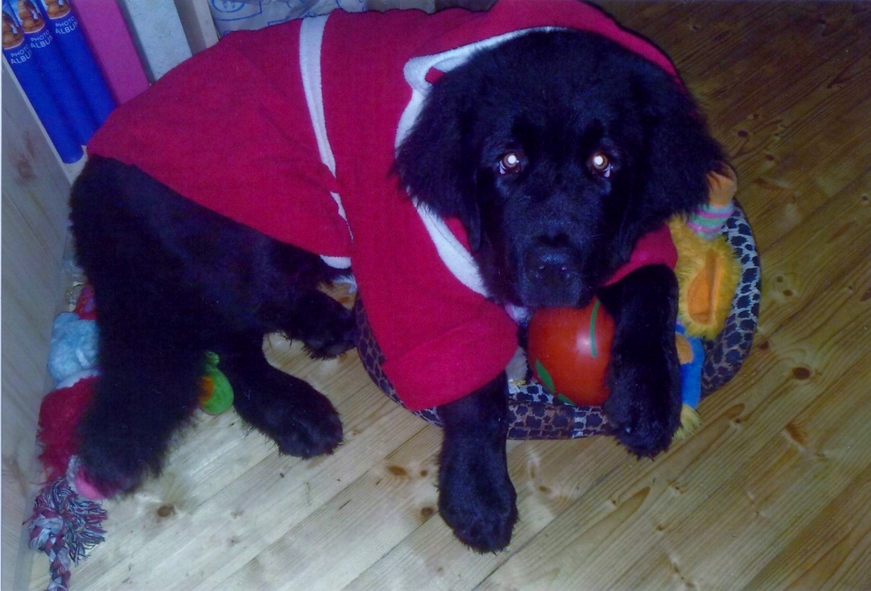 Župánek už je mi malý